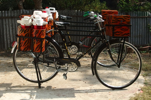 Tea Sellers? Bicycles