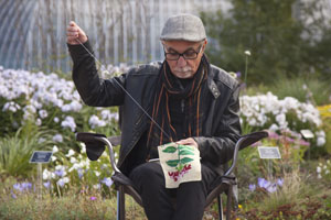 Picture of Saint Petersburg Botanical Garden II, photograph, 66 x 98 cm, 2015