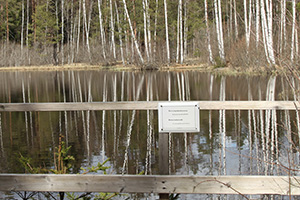 Site 5: The Ollila Pond (Ollilan lampi)