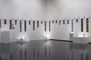 Gallery view of Empathy Barometer