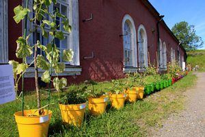 Detail of Immigrant Garden