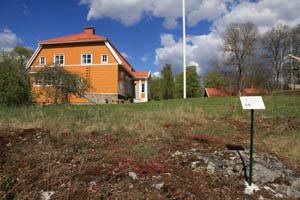 The Immigrant Garden - Herbarium of ancient and recent introductions to the Saari Manor