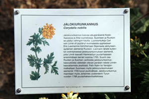 Detail of The Immigrant Garden - Herbarium of ancient and recent introductions to the Saari Manor